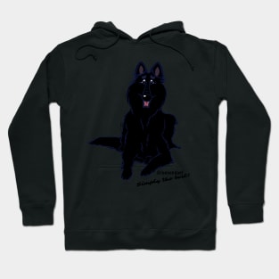 Groenendael - Simply the best Hoodie